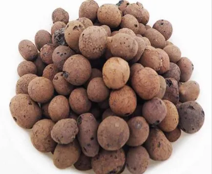 &lt;trp-post-container data-trp-post-id=&#039;1143&#039;&gt;The Role of Clay Pebbles in Soil Aeration&lt;/trp-post-container&gt;
