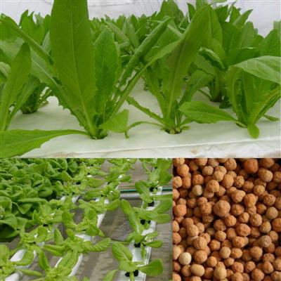 4-8mm Expanded Clay Pebbles: Garden Soil Aeration &#038; Fertilizer Boost